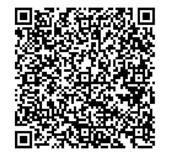 Pix QR Code